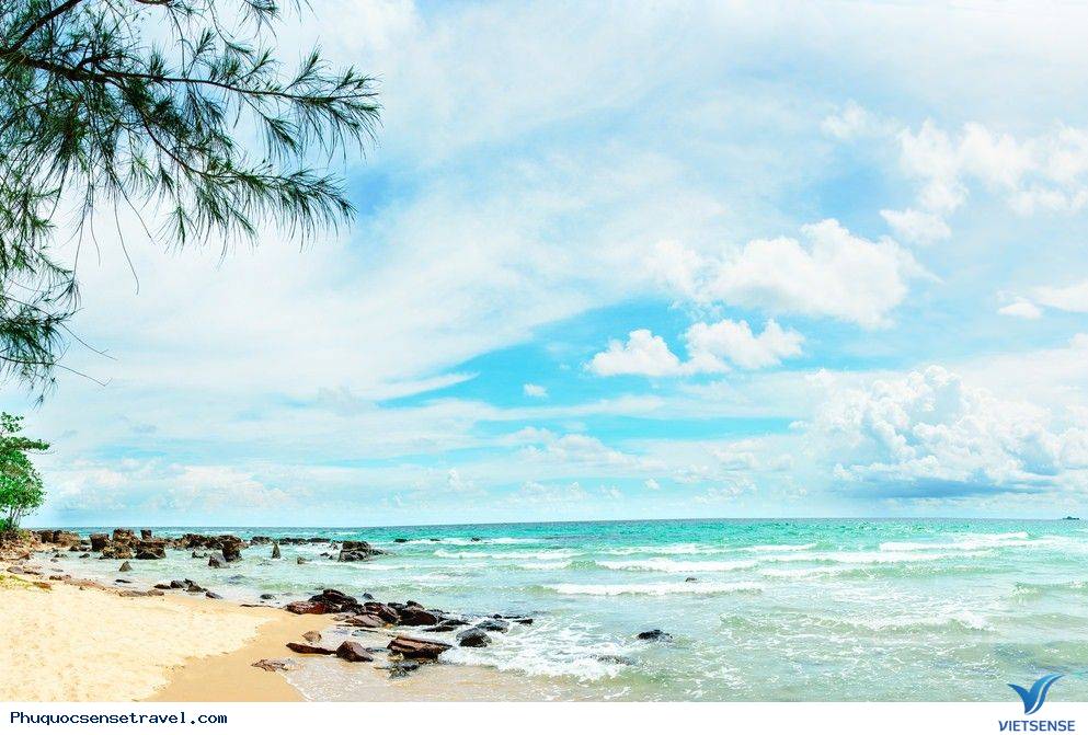 Giới thiệu Bãi Vũng Bầu