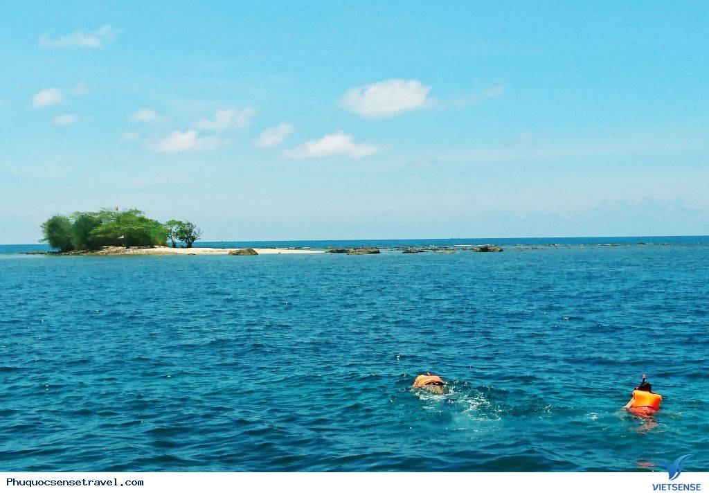 Giới thiệu Hòn Đồi Mồi - Ảnh 1