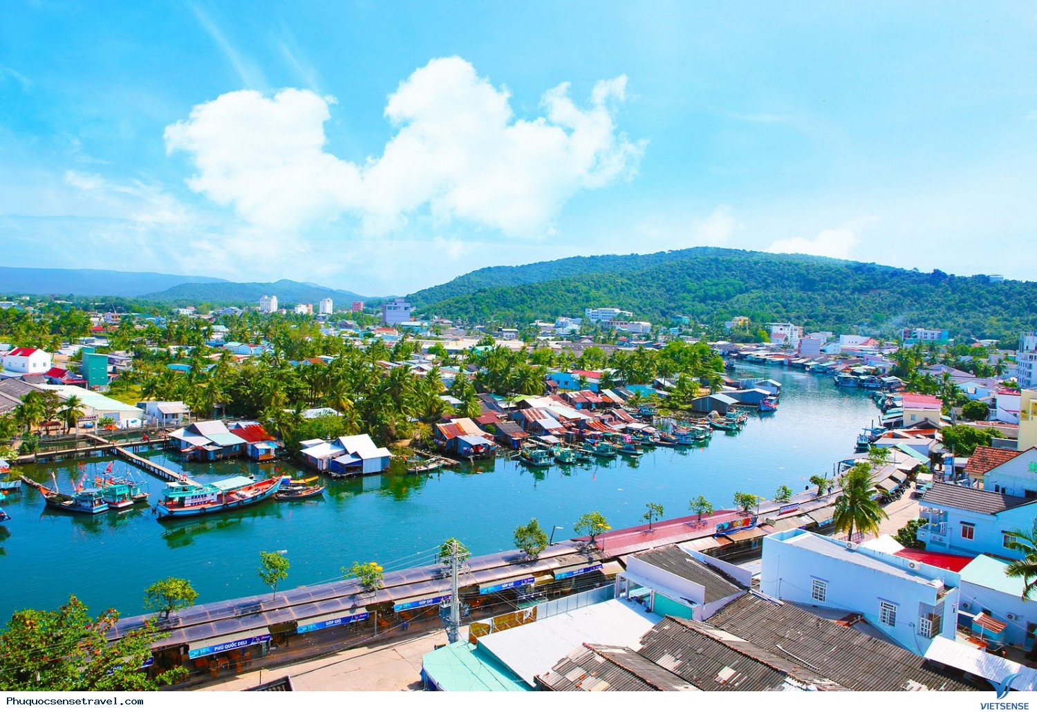 Giới thiệu Rạch Dương Đông - Ảnh 2