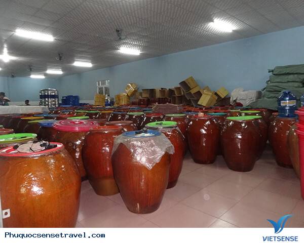 Giới thiệu Sim Sơn Phú Quốc - Ảnh 4