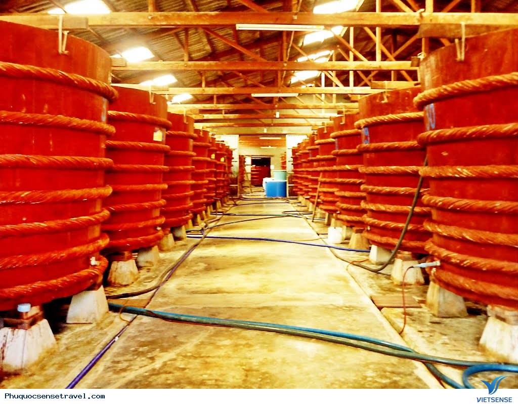 Hành trình khám phá chuyến đi bụi Phú Quốc - Ảnh 3 Hành trình khám phá chuyến đi bụi Phú Quốc - Ảnh 3