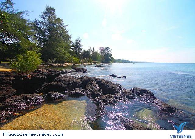 Hành trình khám phá đảo Phú Quốc - Ảnh 6 Hành trình khám phá đảo Phú Quốc - Ảnh 6