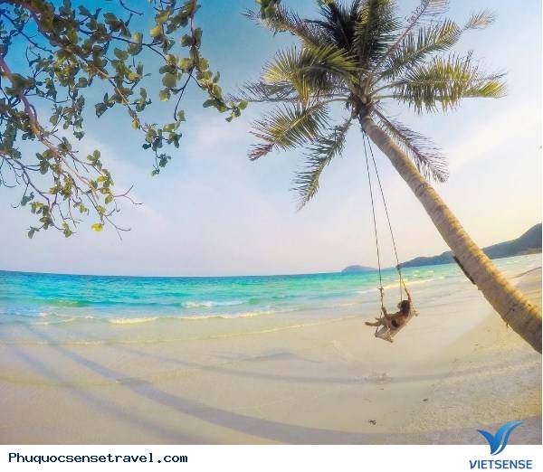 Giới thiệu - Ảnh 2 Giới thiệu - Ảnh 2