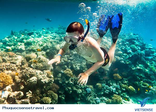 Ngày 2: chương trình Hòn Móng Tay - Câu Cá - Lặn ngắm san hô - Ngắm hoàng hôn ở Bãi Trường Ngày 2: chương trình Hòn Móng Tay - Câu Cá - Lặn ngắm san hô - Ngắm hoàng hôn ở Bãi Trường