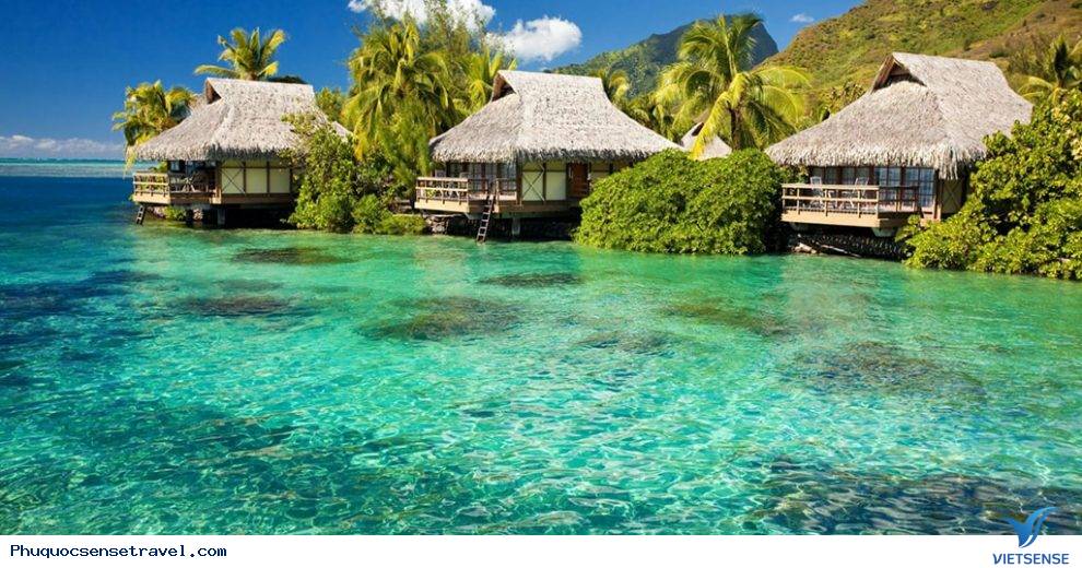 Hành Trình Lột Xác Đầy Ngoạn Mục Của Đảo Ngọc Phú Quốc - Ảnh 4