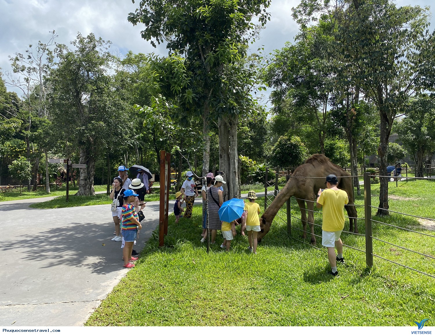 Hình Ảnh Chương trình Phú Quốc Đoàn Nội Thất Kingdecor - Ảnh 13