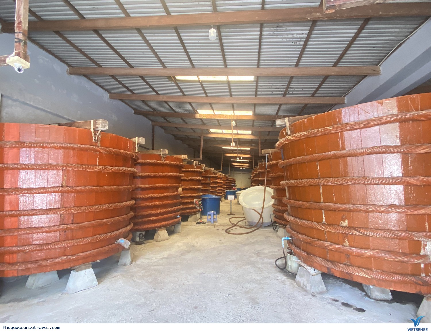 Hình Ảnh Chương trình Phú Quốc Đoàn Nội Thất Kingdecor - Ảnh 15