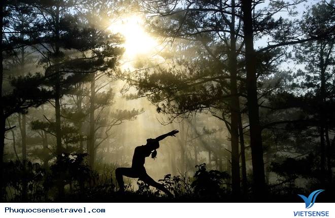 Hình ảnh tuyệt đẹp của con đường xuyên rừng đẹp nhất Việt Nam Hình ảnh tuyệt đẹp của con đường xuyên rừng đẹp nhất Việt Nam