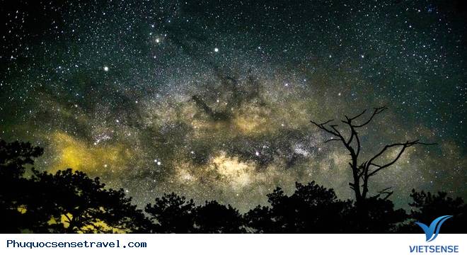 Hình ảnh tuyệt đẹp của con đường xuyên rừng đẹp nhất Việt Nam Hình ảnh tuyệt đẹp của con đường xuyên rừng đẹp nhất Việt Nam