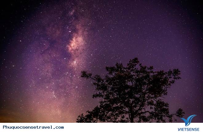 Hình ảnh tuyệt đẹp của con đường xuyên rừng đẹp nhất Việt Nam Hình ảnh tuyệt đẹp của con đường xuyên rừng đẹp nhất Việt Nam