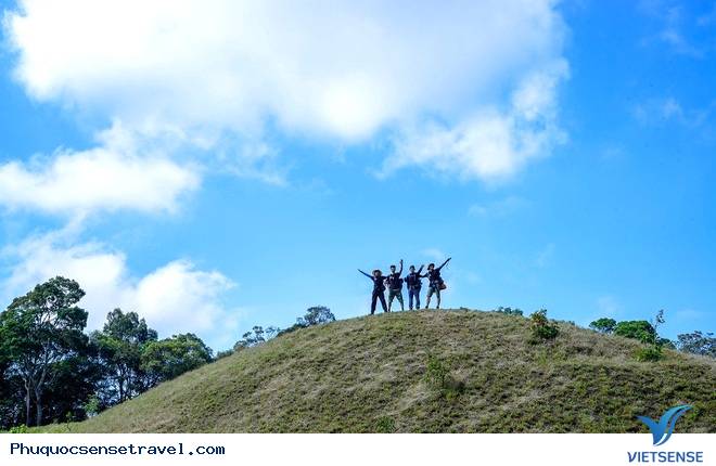 Hình ảnh tuyệt đẹp của con đường xuyên rừng đẹp nhất Việt Nam - Ảnh 6 Hình ảnh tuyệt đẹp của con đường xuyên rừng đẹp nhất Việt Nam - Ảnh 6