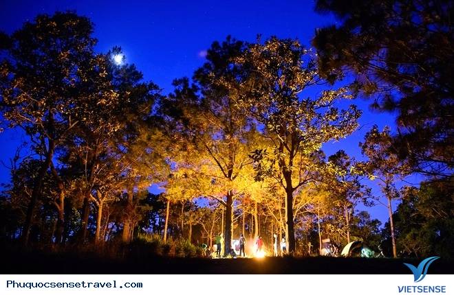 Hình ảnh tuyệt đẹp của con đường xuyên rừng đẹp nhất Việt Nam Hình ảnh tuyệt đẹp của con đường xuyên rừng đẹp nhất Việt Nam