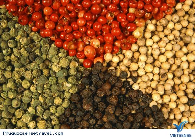 Hồ Tiêu Phú Quốc - Ảnh 2 Hồ Tiêu Phú Quốc - Ảnh 2