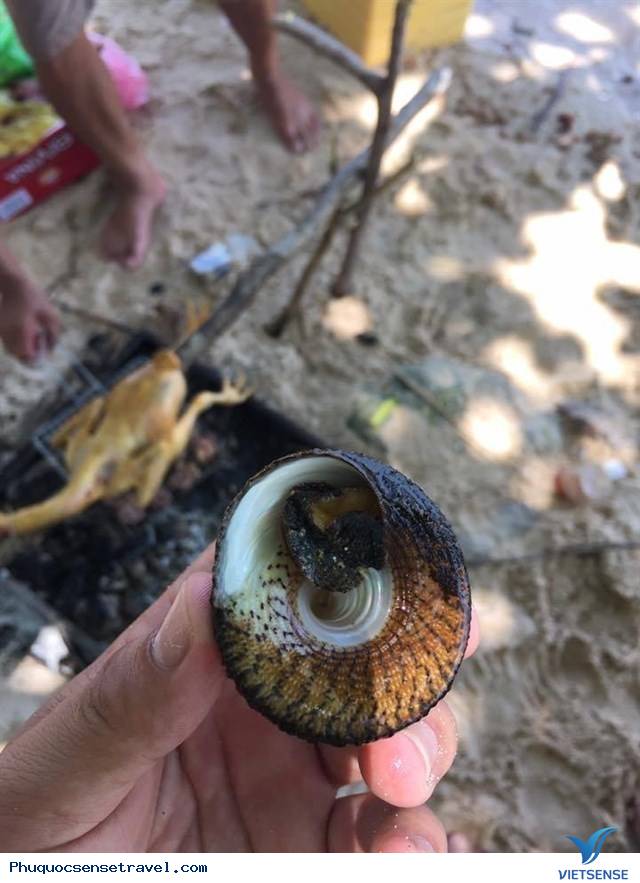 Hòn Gầm Gì Phú Quốc - Ảnh 16