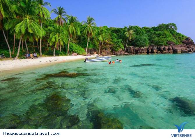 Giới thiệu chung về Hòn Mây Rút - Ảnh 2