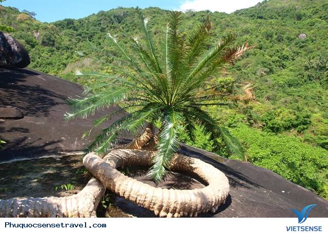 Hòn Sơn điểm đến hút khách tại Kiên Giang - Ảnh 5