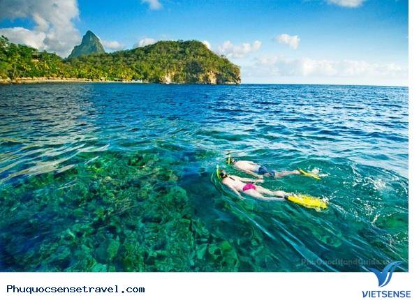 Hướng dẫn hành trình Phú Quốc và lịch trình cụ thể - Ảnh 4