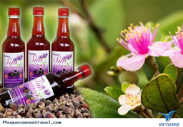 Kinh Nghiệm Vi Vu Phú Quốc Tự Túc từ A đến Z [ 2025 ] - Ảnh 7