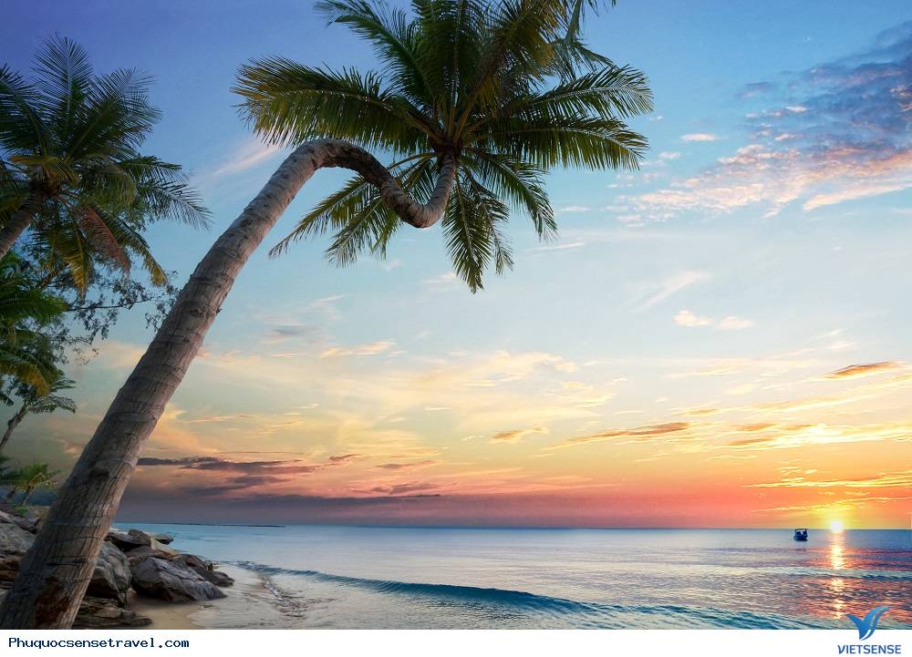 KHÁCH SẠN VINOASIS - ỐC ĐẢO TRÀN NGẬP CẢM HỨNG