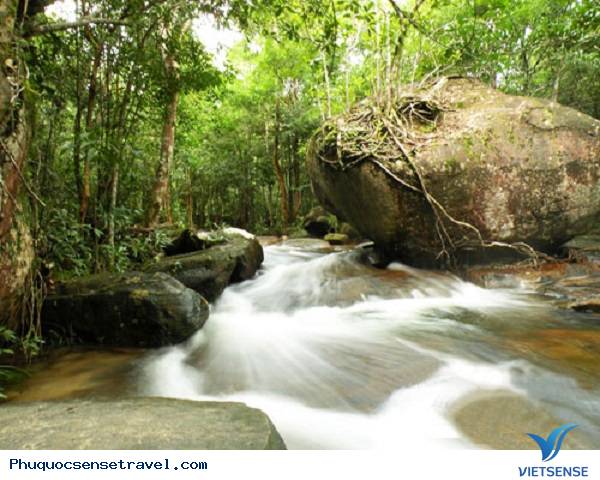 Suối Tranh Suối Tranh