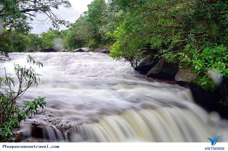 Suối Đá Bàn - Ảnh 1 Suối Đá Bàn - Ảnh 1