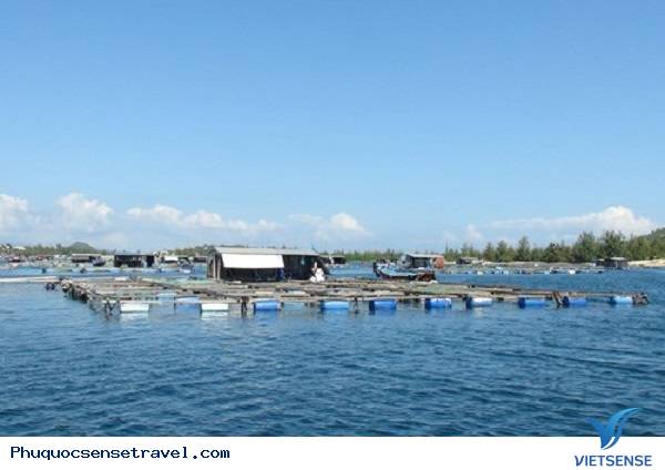 Khám phá bảo tàng cội nguồn Phú Quốc - Ảnh 4