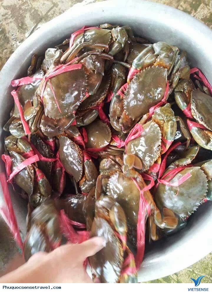 Khám Phá biển Hà Tiên - Ảnh 5