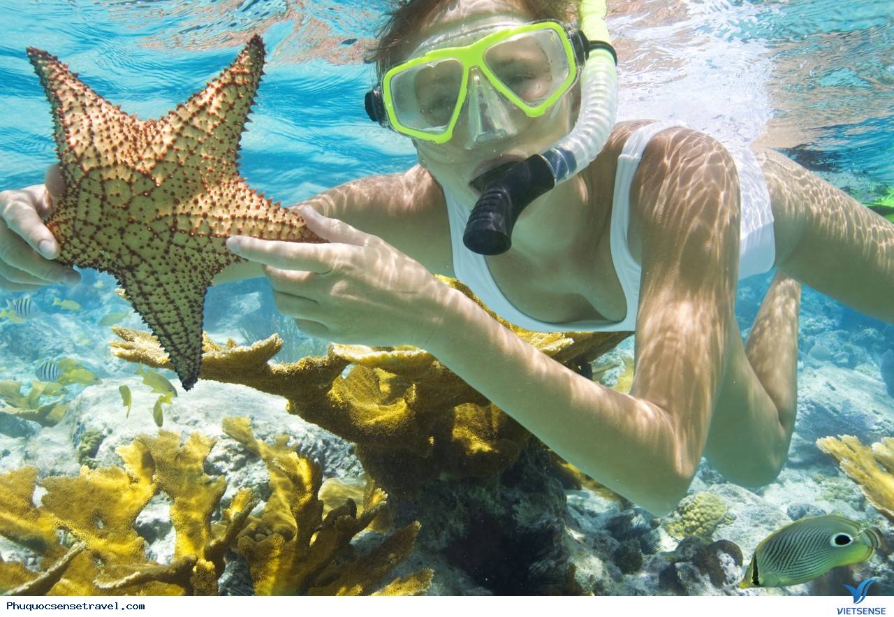 trải nghiệm phú quốc, lặn ngắm san hô trải nghiệm phú quốc, lặn ngắm san hô