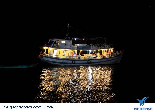 chương trình
phú quốc, câu mực đêm chương trình
phú quốc, câu mực đêm