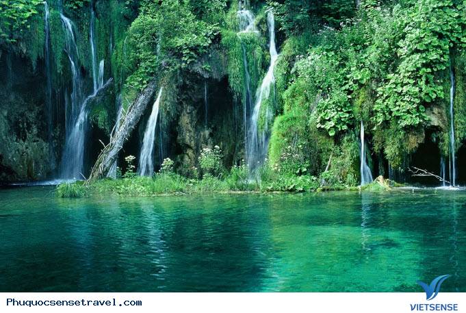 Khám phá rừng nguyên sinh Khám phá rừng nguyên sinh