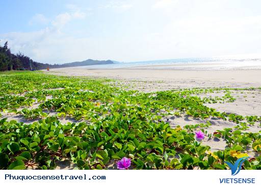 Khám phá đảo Hòn Một Phú Quốc - Ảnh 4 Khám phá đảo Hòn Một Phú Quốc - Ảnh 4