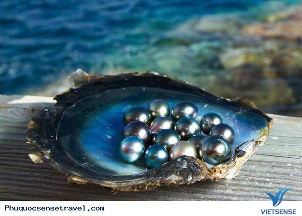Khám phá khu nuôi cấy ngọc trai Phú Quốc - Ảnh 2