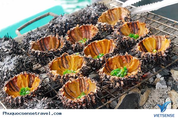 Khám phá những bãi nhum khổng lồ ven biển Phú Quốc - Ảnh 3