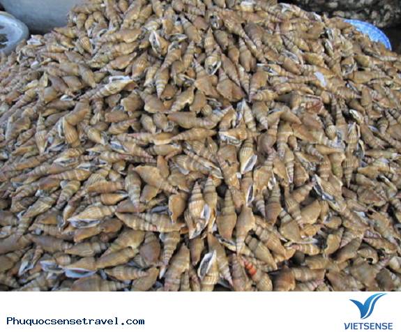 Khám phá những đặc sản từ Sò- Ốc Phú Quốc - Ảnh 3