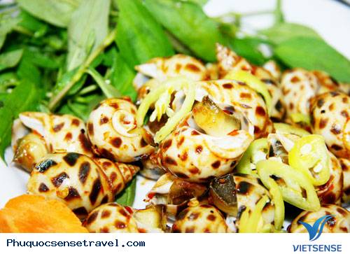 Ốc hương Phú Quốc hương vị khó quên