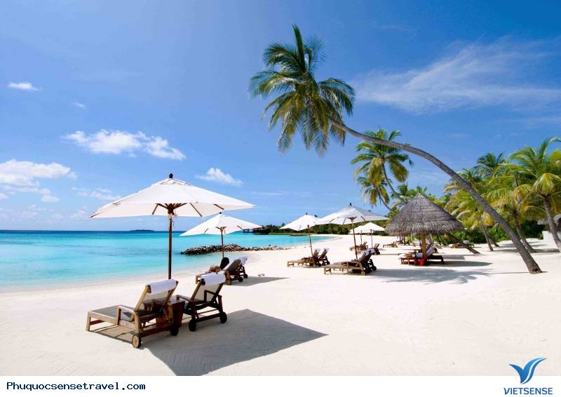 Khám Phá Thiên Đường Phú Quốc Với Dịch Vụ hành trình Mới Nhất - Ảnh 2 Khám Phá Thiên Đường Phú Quốc Với Dịch Vụ hành trình Mới Nhất - Ảnh 2