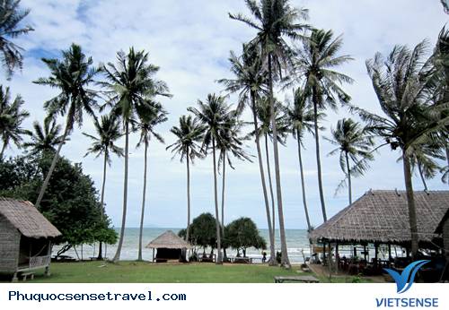 Khám Phá Vẻ Đẹp Bình Yên Trên Đảo Thỏ - Ảnh 1