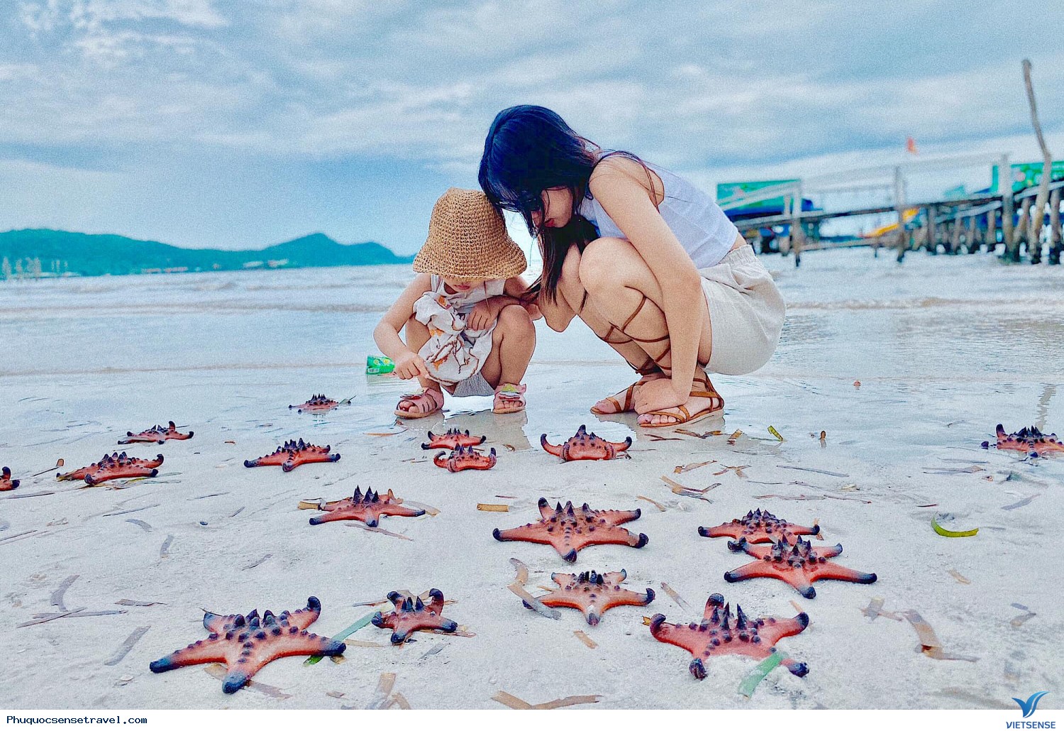 Không vớt sao biển ra khỏi nước Không vớt sao biển ra khỏi nước