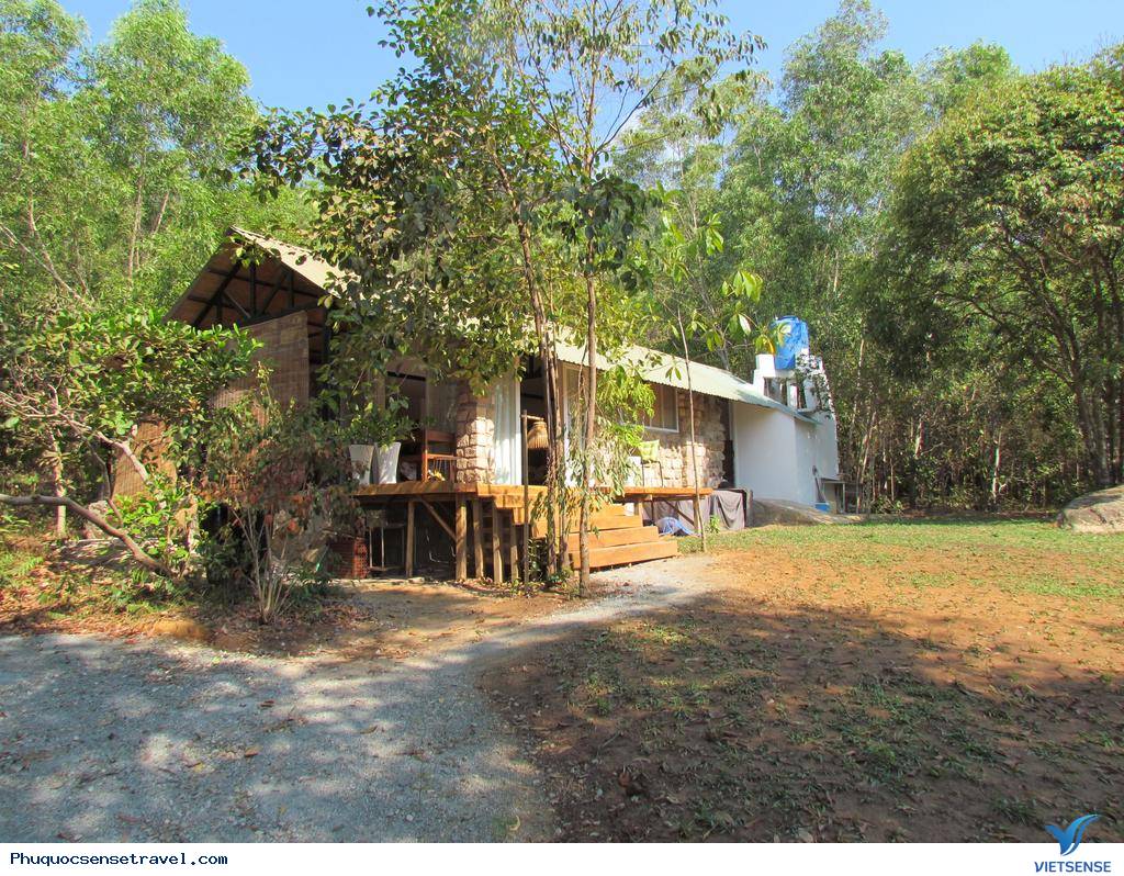 khu thăm quan homestay tuyệt đẹp tại Phú Quốc - Ảnh 2