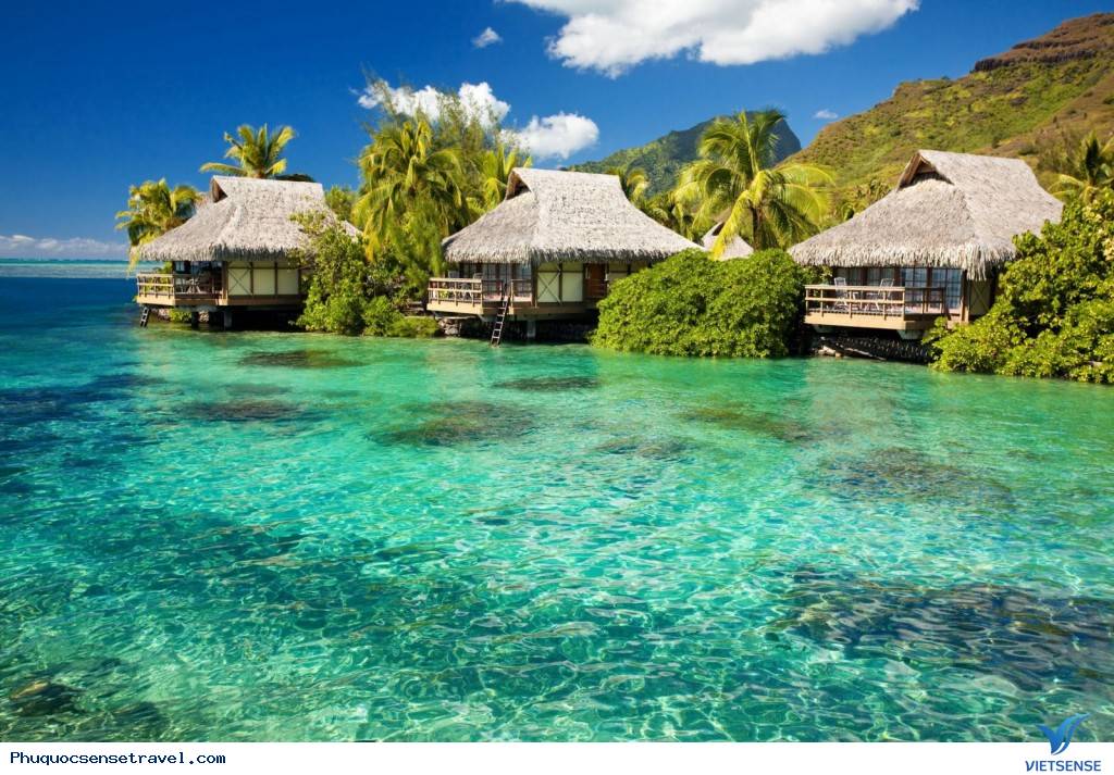 khu thăm quan sinh thái Phú Quốc - Ảnh 1 khu thăm quan sinh thái Phú Quốc - Ảnh 1