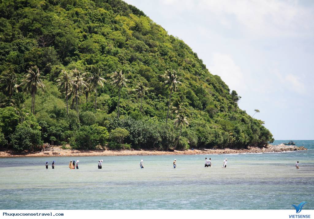 Khung cảnh thơ mộng giữa biển trời Kiên Giang - Ảnh 4 Khung cảnh thơ mộng giữa biển trời Kiên Giang - Ảnh 4