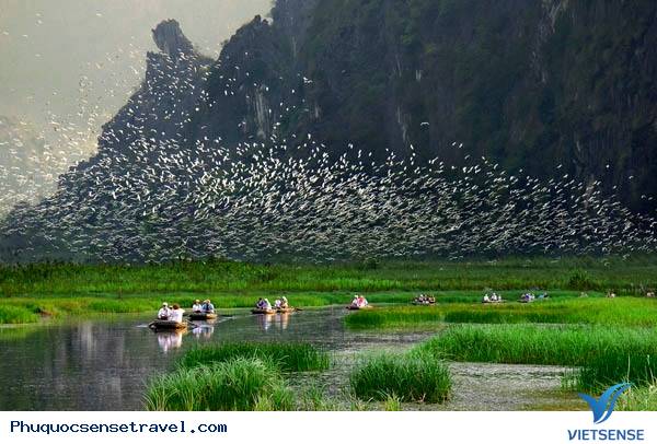 Kinh nghiệm du lịch đầm Vân Long ở Ninh Bình
