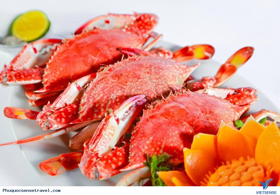 Kinh Nghiệm Vivu
tự túc ở Phú Quốc - Ảnh 7 Kinh Nghiệm Khám Phá tự túc ở Phú Quốc - Ảnh 7