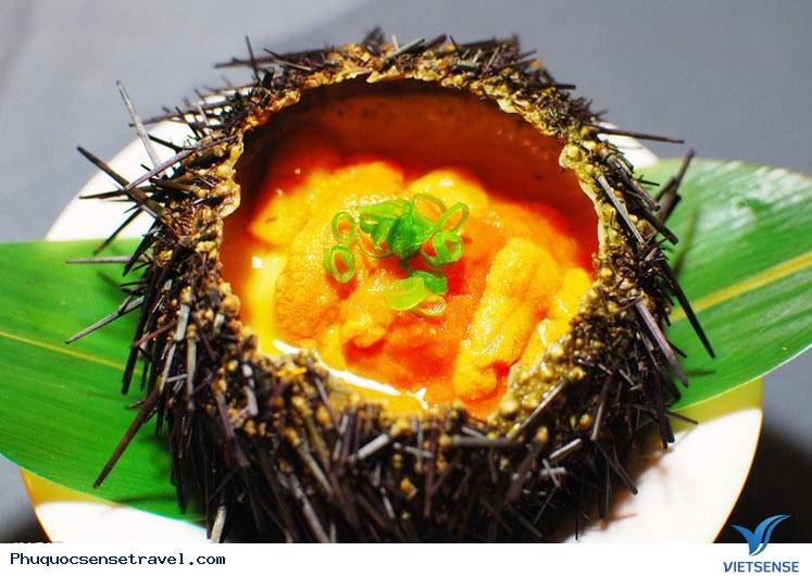 Kinh Nghiệm Vivu
tự túc ở Phú Quốc - Ảnh 8 Kinh Nghiệm Khám Phá tự túc ở Phú Quốc - Ảnh 8