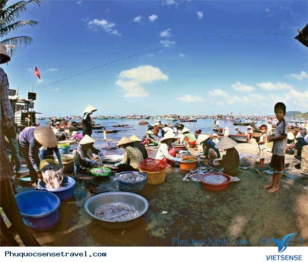 Kinh nghiệm khi đến chợ Dương Đông? Kinh nghiệm khi đến chợ Dương Đông?