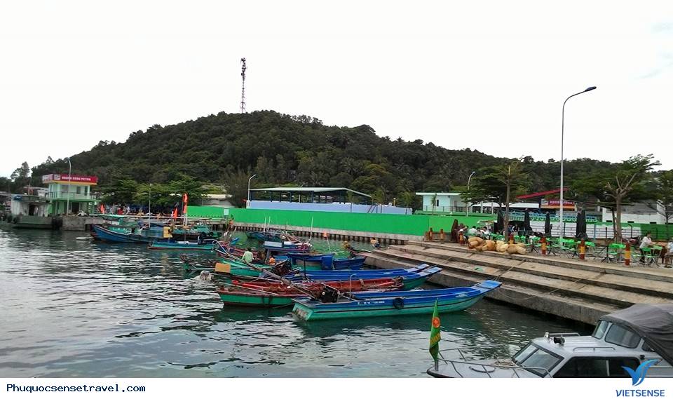 Lặn ngắm san hô ở Nam Đảo Phú Quốc - Ảnh 5 Lặn ngắm san hô ở Nam Đảo Phú Quốc - Ảnh 5