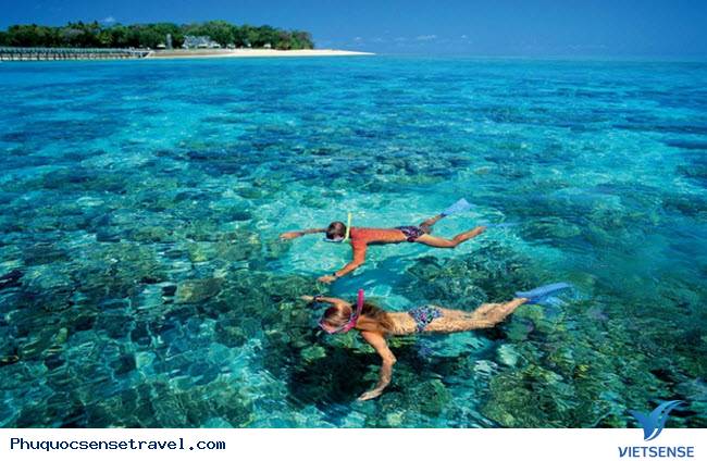 Lặn ngắm san hô ở Nam Đảo Phú Quốc - Ảnh 1 Lặn ngắm san hô ở Nam Đảo Phú Quốc - Ảnh 1