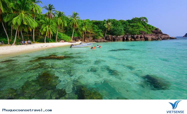 Lặn ngắm san hô ở Nam Đảo Phú Quốc - Ảnh 4 Lặn ngắm san hô ở Nam Đảo Phú Quốc - Ảnh 4