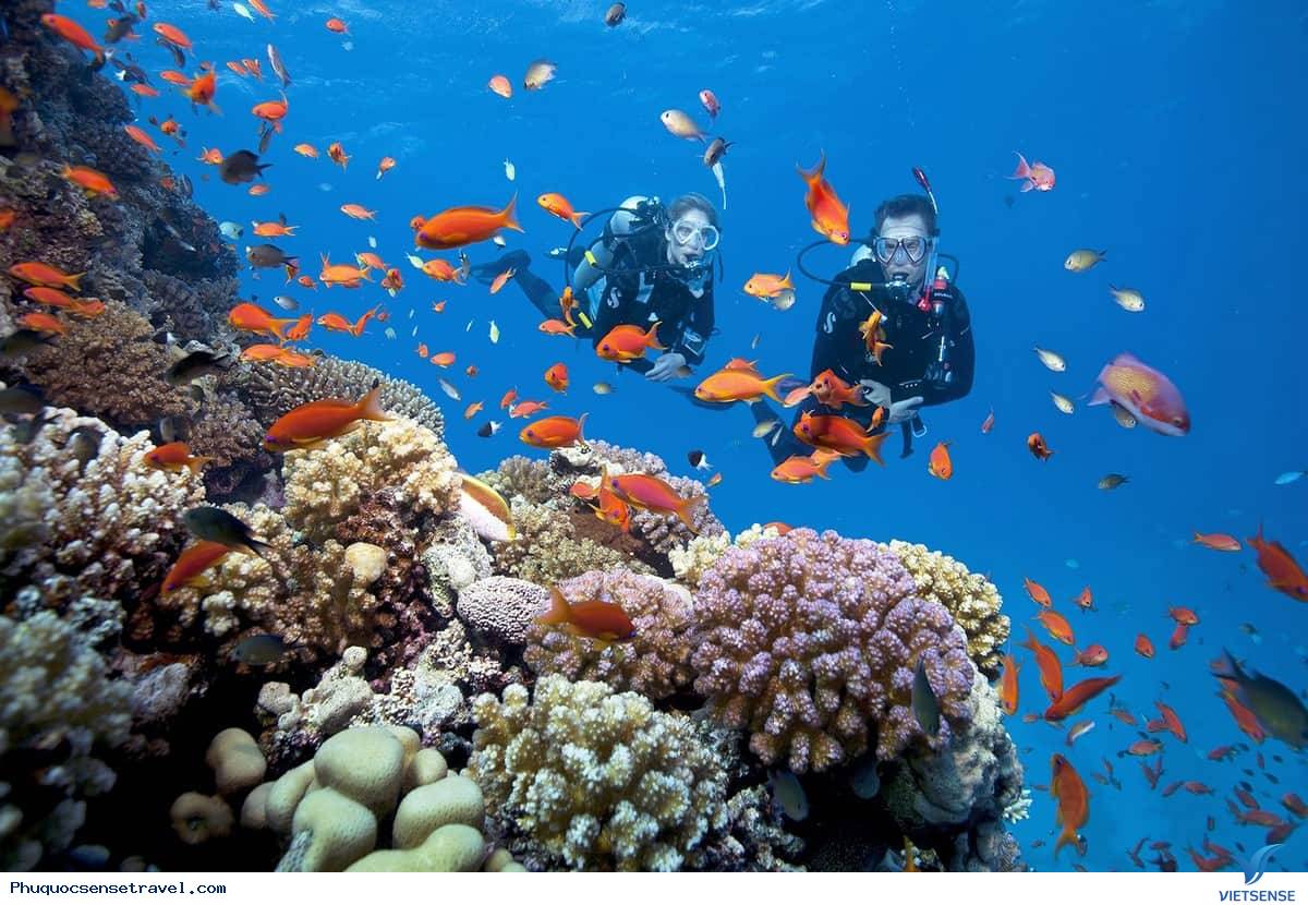 Lặn với ống thở