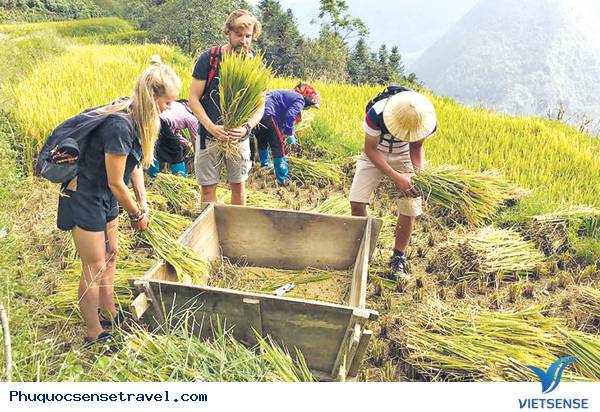 Lào Cai Phát triển Lữ Hành
Cộng Đồng - Ảnh 1 Lào Cai Phát triển Lữ Hành
Cộng Đồng - Ảnh 1